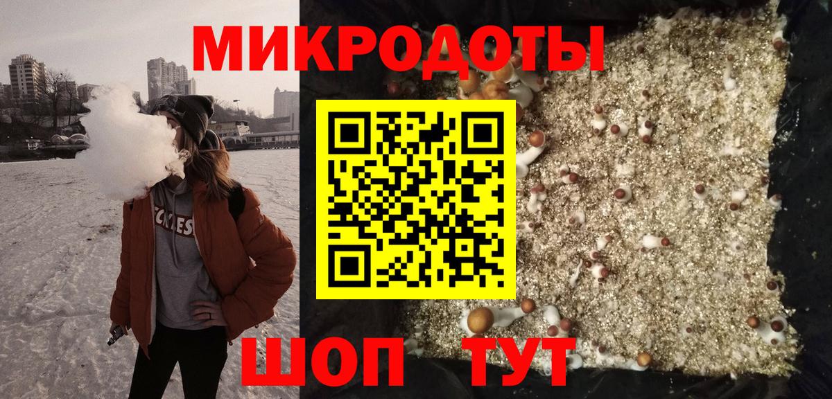 Галлюциногенные грибы Psilocybe  Вход с VPN  Знаменск 