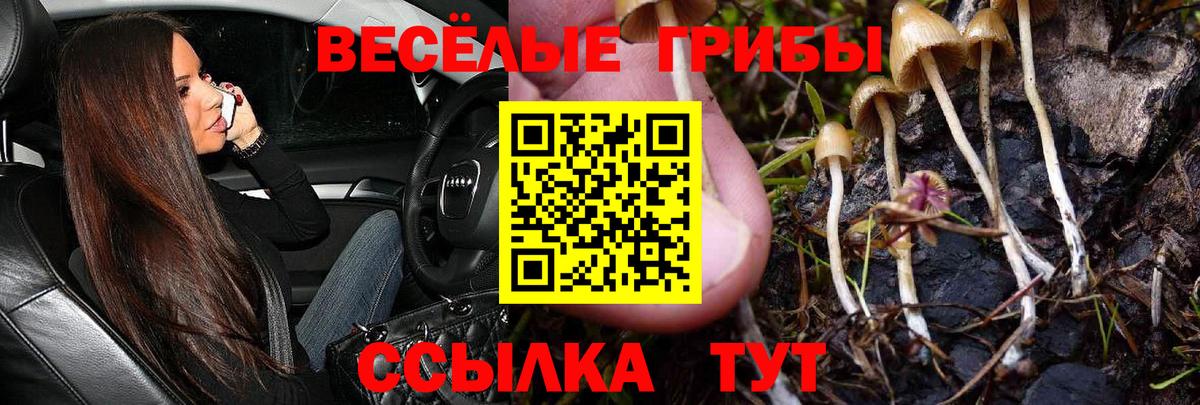 Галлюциногенные грибы Magic Shrooms Знаменск